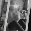 _isabella_long_